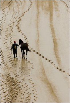 [3521186721_APTOPIX_Kentucky_Oaks_Horse_Racingx.jpg]