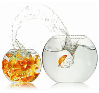 [fishbowl.jpg]