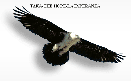 TAKA-THE HOPE-LA ESPERANZA