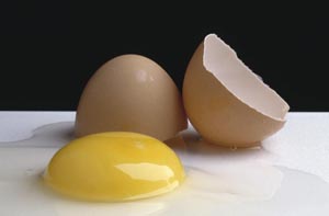 [Egg.jpg]
