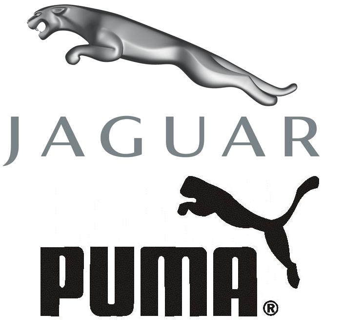 [brand+jungle+(jaguar+vs.+puma).bmp]