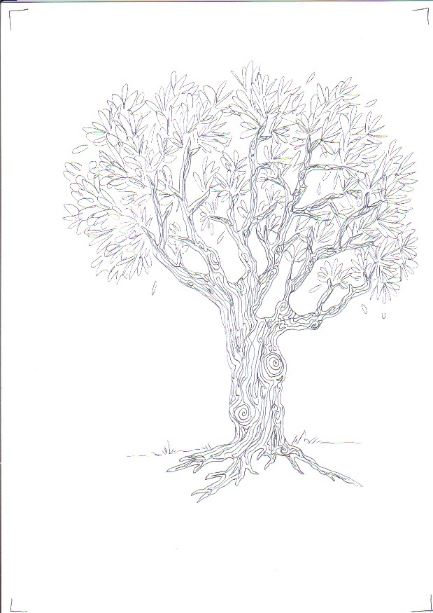 [tree.jpg]