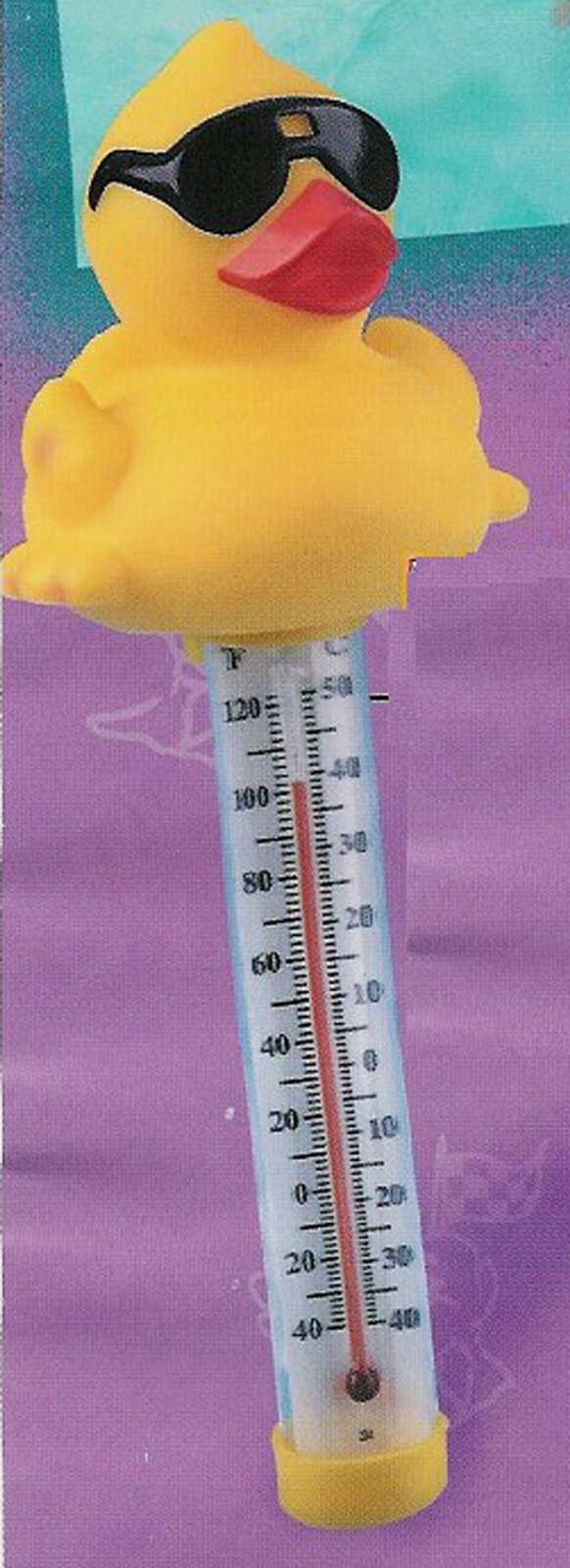 [247-2006327-Thermometer+Eend.jpg]