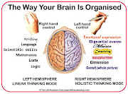 Organización Cerebral