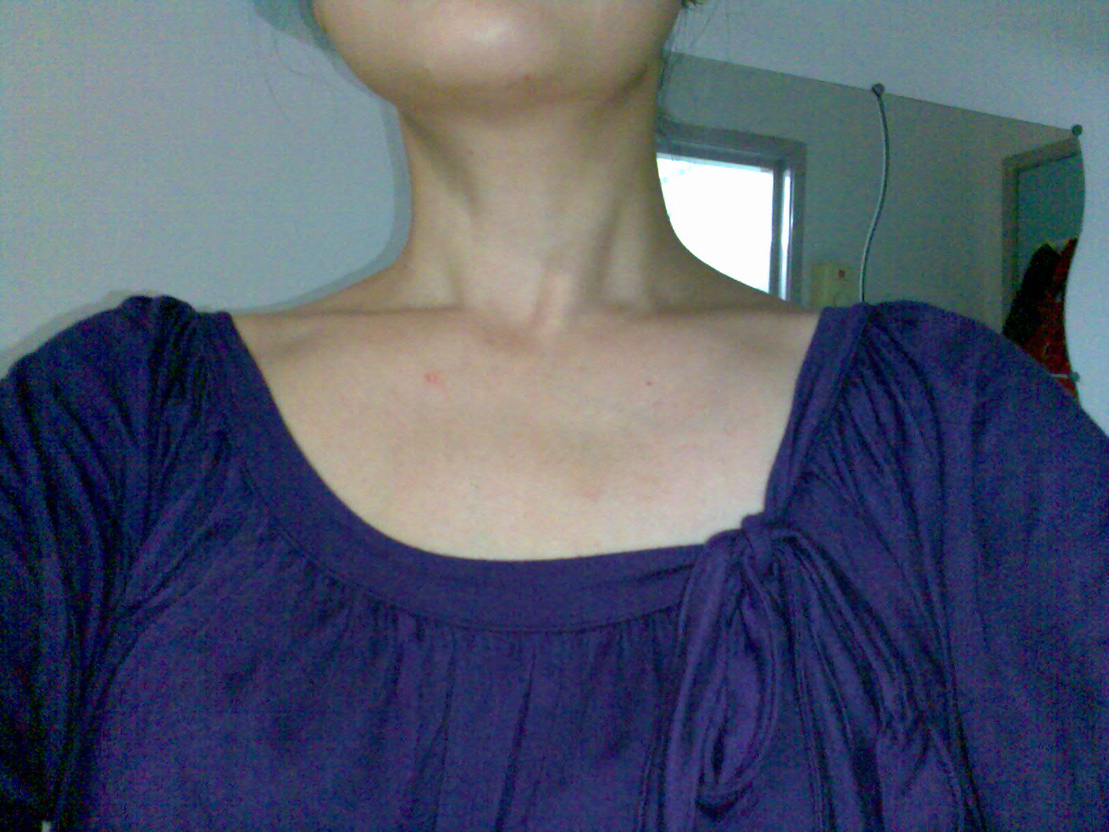 [Purple+blouse+plain.jpg]
