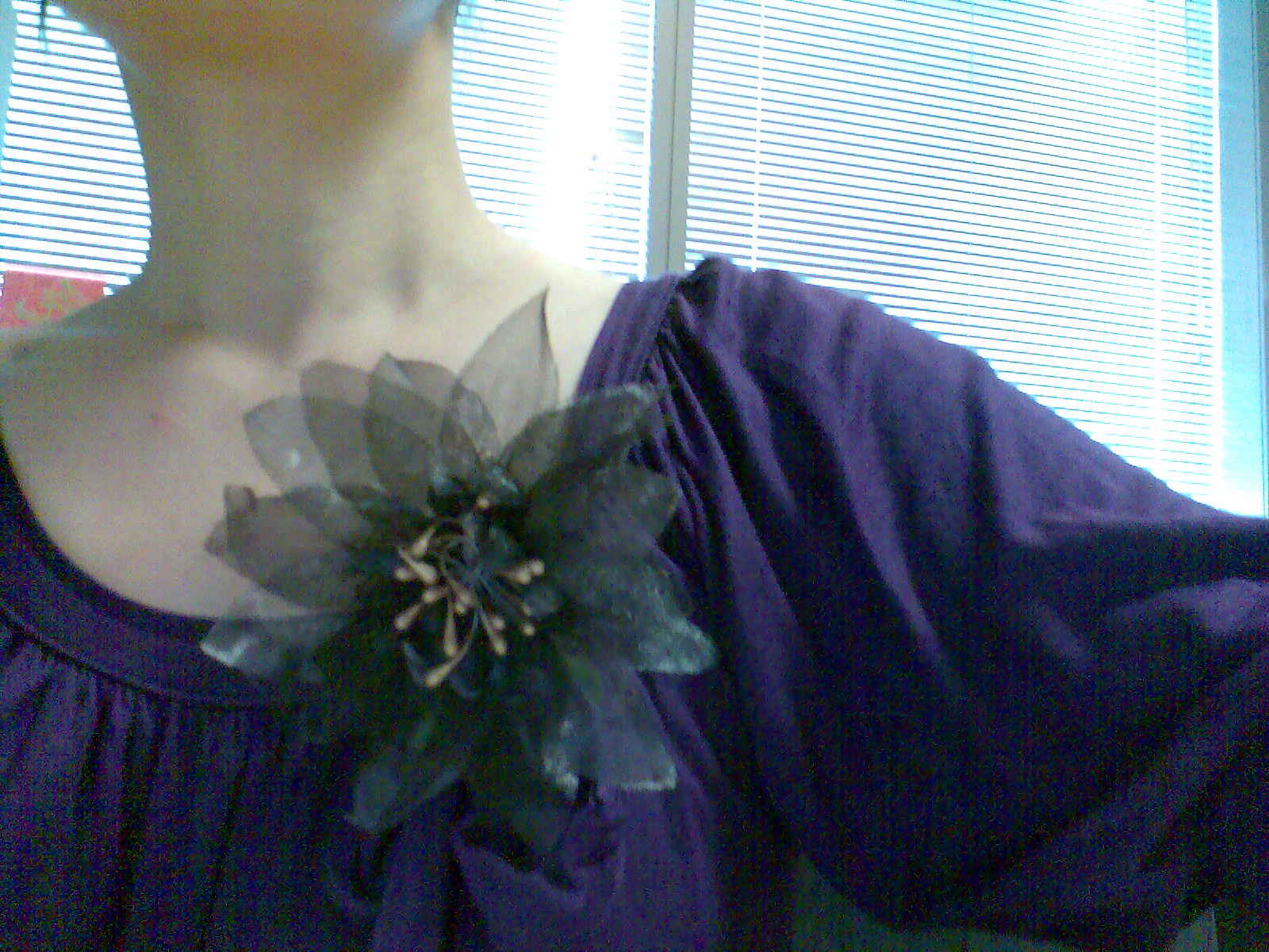 [Purple+blouse+w+flower+brooch.jpg]