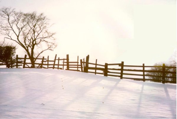 [snow_on_fields.jpg]