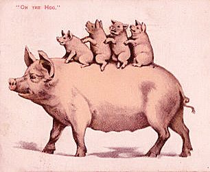 [Pig+and+4+Piglets.jpg]