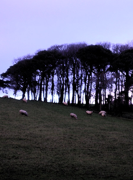 [sheep+tree+hill+watercolour.jpg]