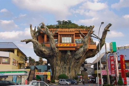 [japanese-tree-restaurant01.jpg]