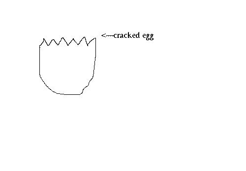 [egg1.JPG]