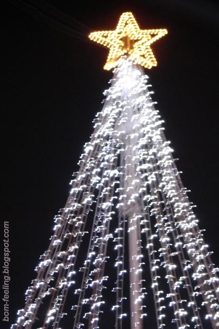 [árvore+natal+christmas+tree+star+estrela.JPG]