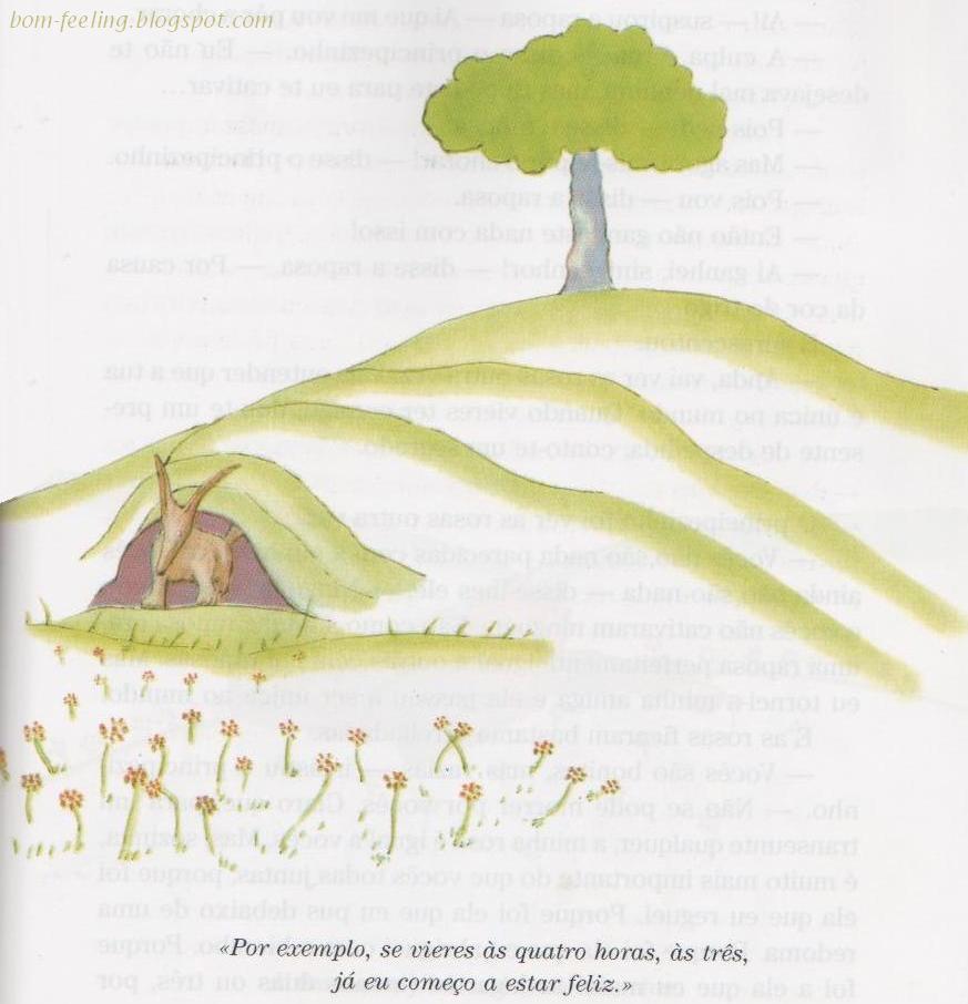 [principezinho+book+livro+little+prince+fox+raposa.jpg]