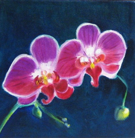 [Orchids,+Cobalt+Violet,+Oil+Painting+by+Linda+McCoy.jpg]