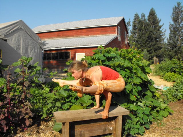 marlie yoga in garden
