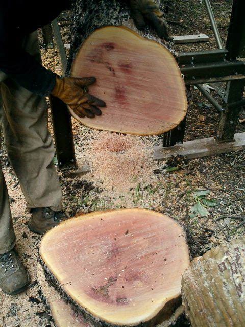 [madrone+on+mill+(1).JPG]