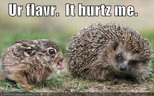 [funny-pictures-bunny-porcupine-flavor.jpg]