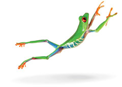 [leaping_frog.jpg]