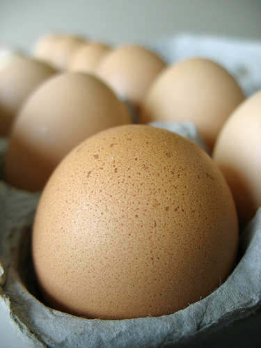 [Brown+Eggs.jpg]