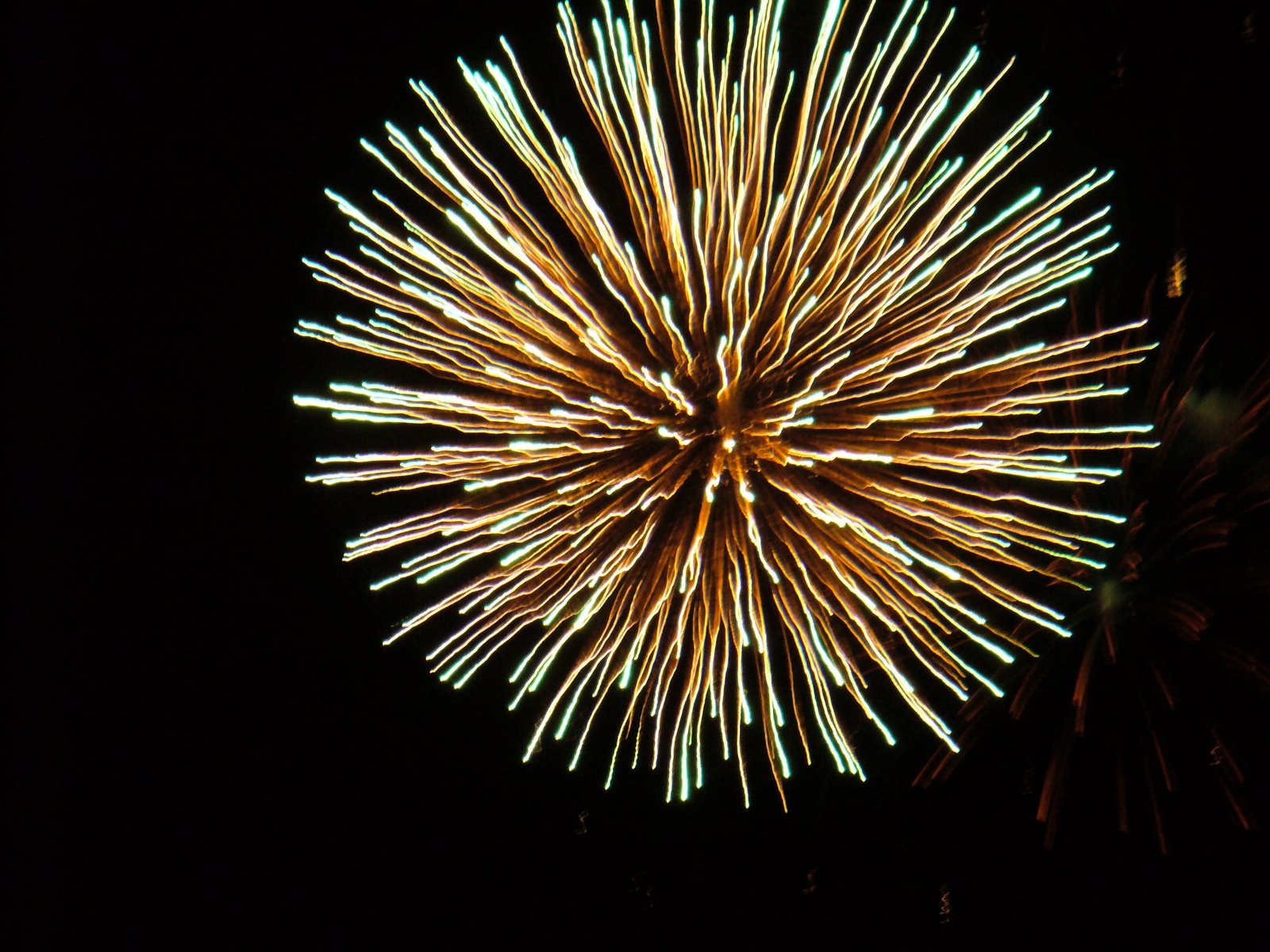 [fireworks+2007+056.JPG]