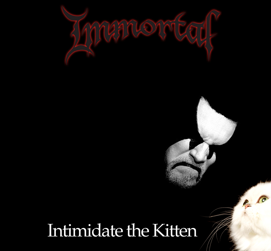 [intimidate+the+kitten+copy.jpg]