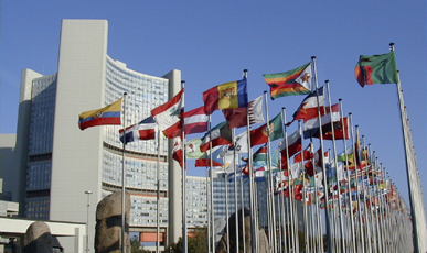 [IAEA_flags.jpg]