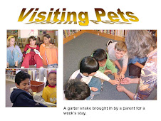 Recess visiting pets