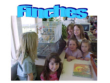 Live-in Pets - finches
