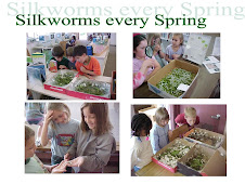 Live-in Pets - silkworms