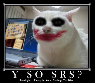 [Serious-Cat-Joker.jpg]