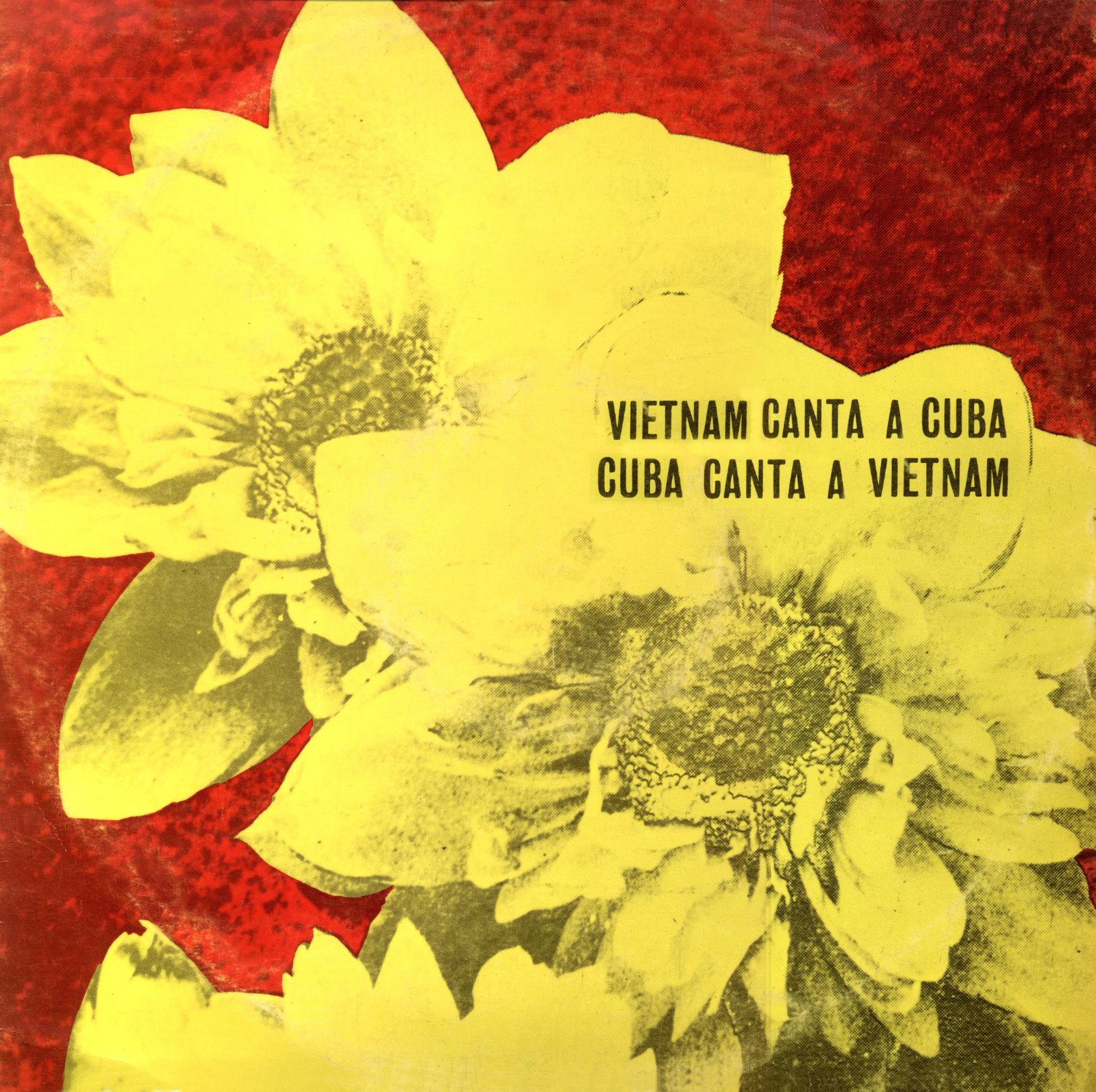 [Cuba+canta+a+Vietnam+1.jpg]
