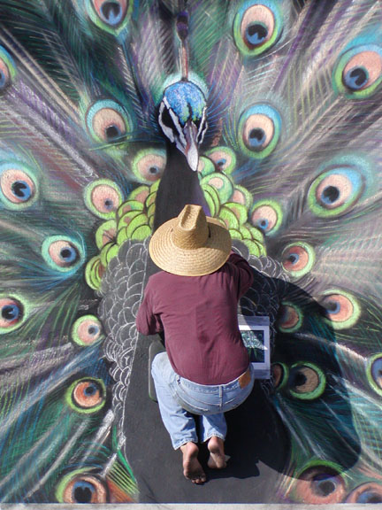 [peacock+pintura+rua.jpg]