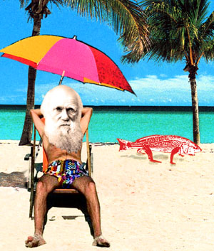 [Darwin+na+praia.jpg]