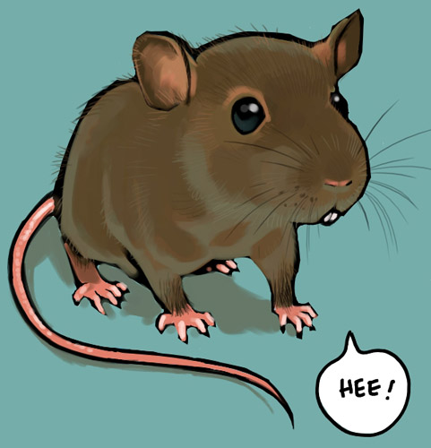 [hee+mouse.jpg]