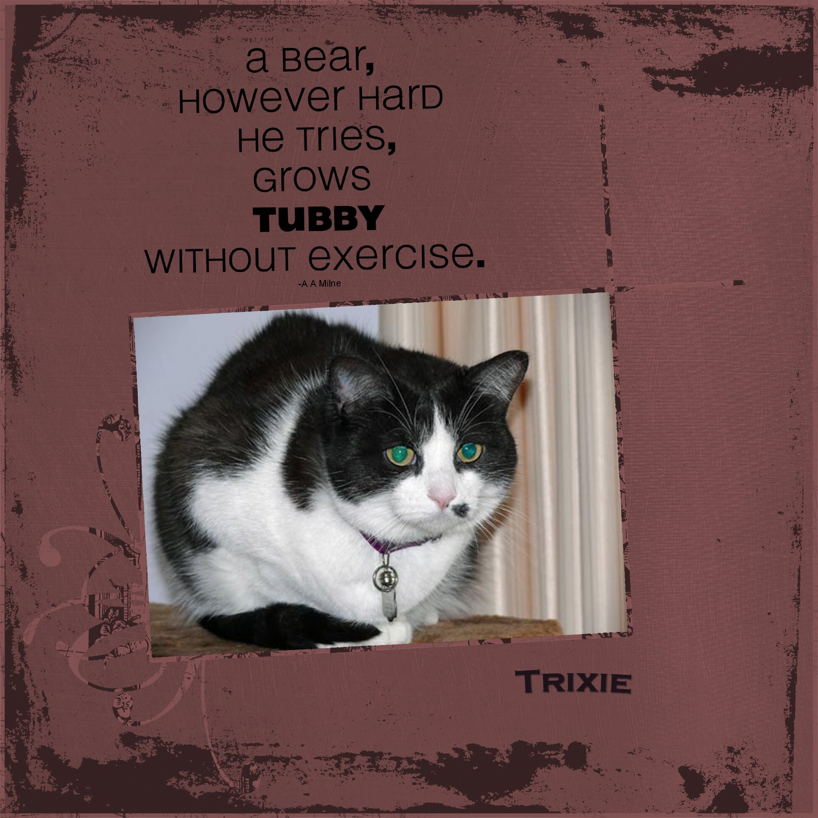 [trixie+fat.jpg]