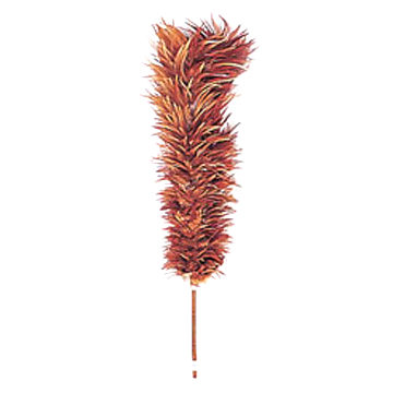 [Feather_Duster.jpg]