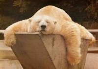 [sleeping-bear.jpg]