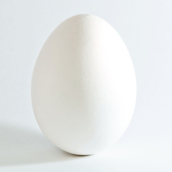 [eggs_2.jpg]