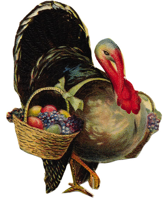 [Thanksgiving+turkey.jpg]