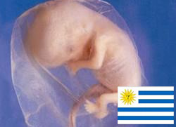 [aborto+-+uruguay.jpg]
