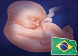 [feto+Brasil.jpg]