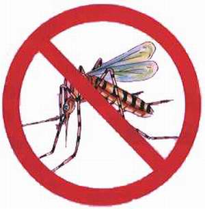 [Mosquito+Dengue.jpg]