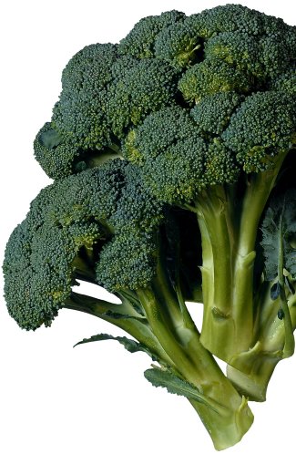 [broccoli.jpg]