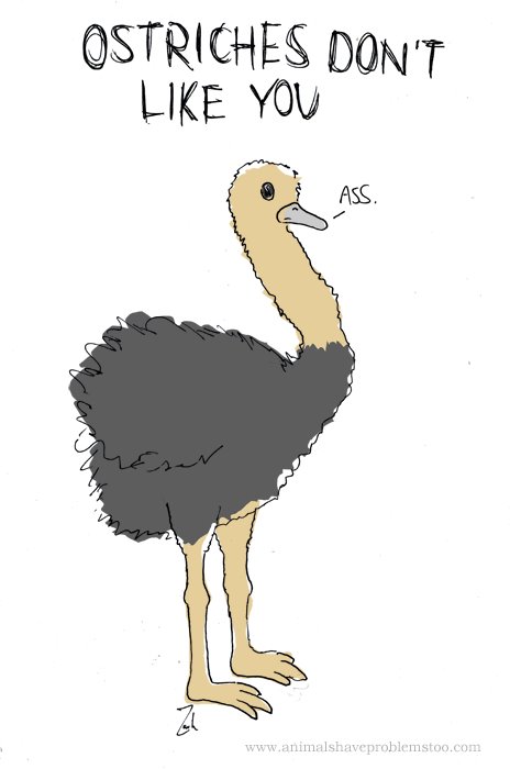 [ostriches.bmp]