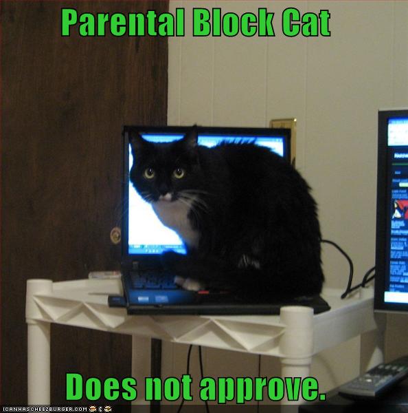[lolcat-funny-picture-parental-block-cat.jpg]