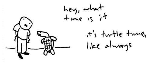 [turtle-time.gif]