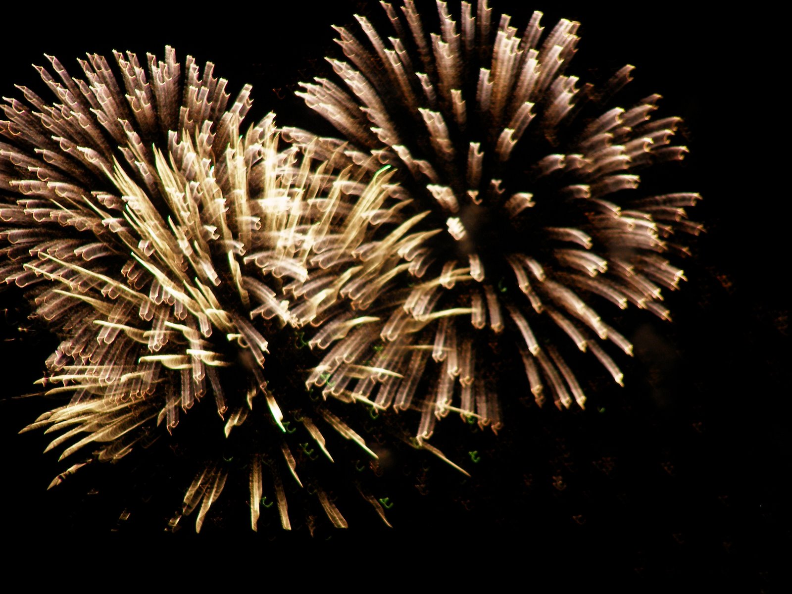 [fireworks+2.jpg]