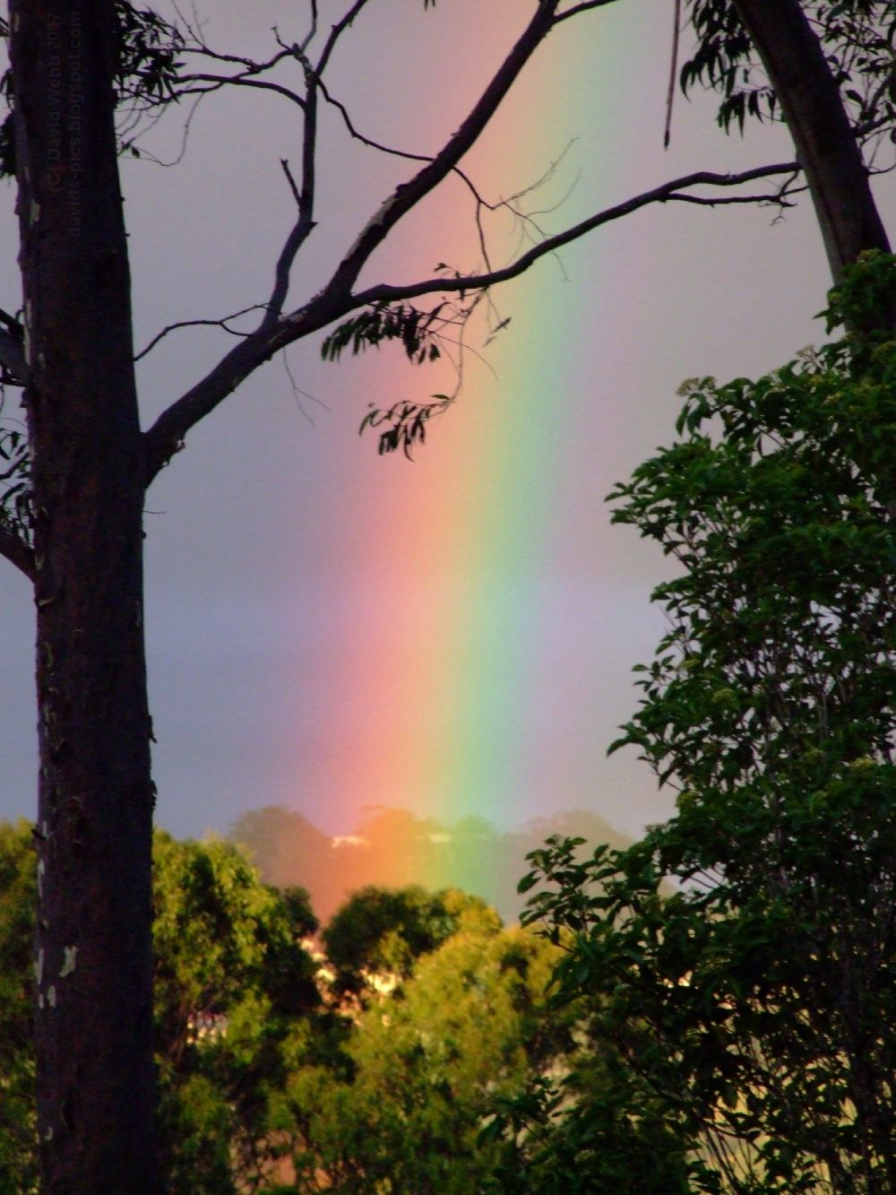 Rainbow after the rain: The end of the Rainbow - is there a pot of gold at the end of the rainbow? - colors of the rainbow