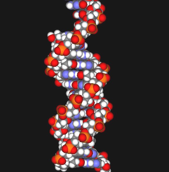 [DNA+2.jpg]