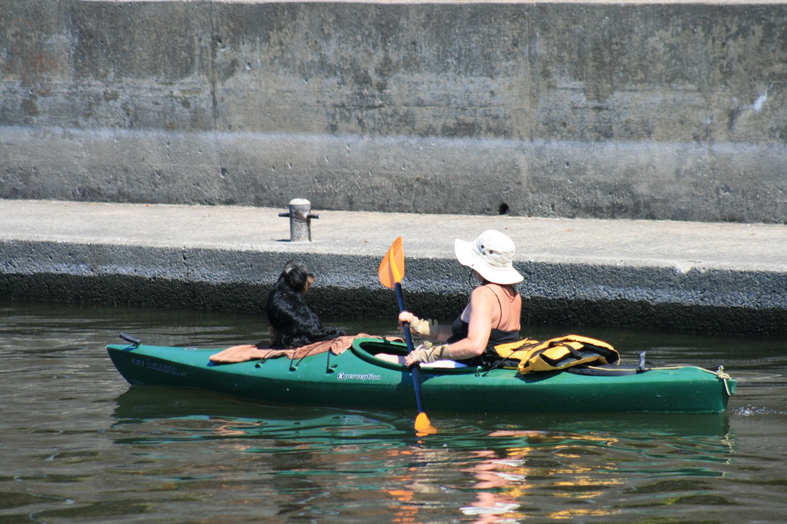 [kayak+dog.JPG]
